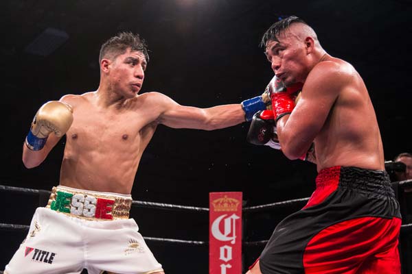 Boxing News: Vargas wins, James and Molina steal the show - January 18 ...