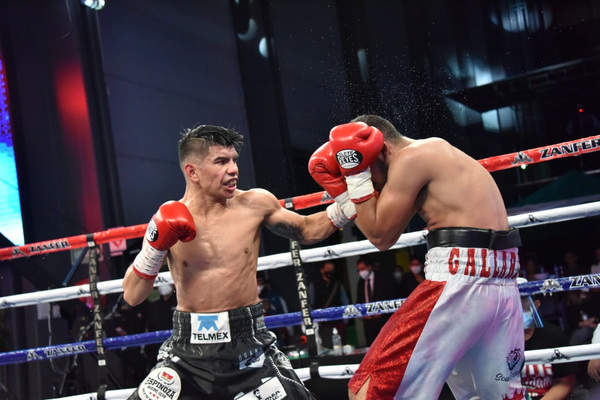 Boxing News: Velazquez on fast track to world title » April 7, 2024